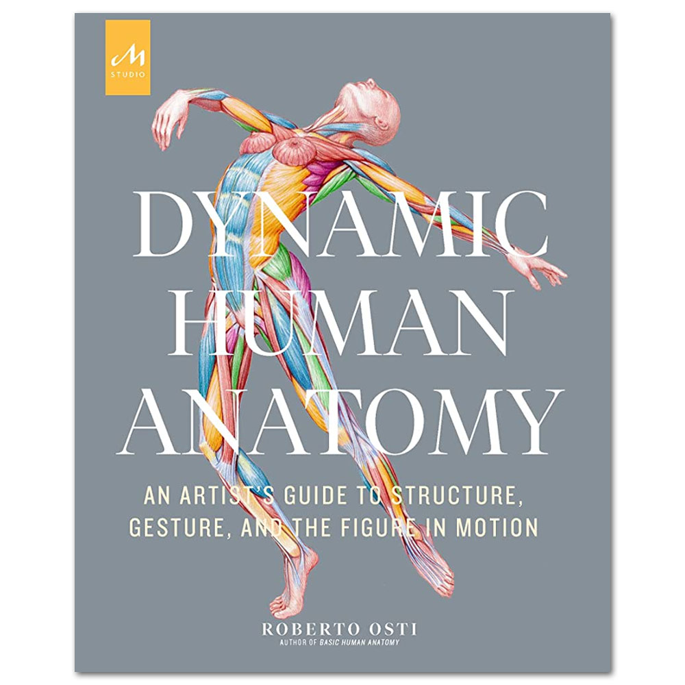 DYNAMIC HUMAN ANATOMY