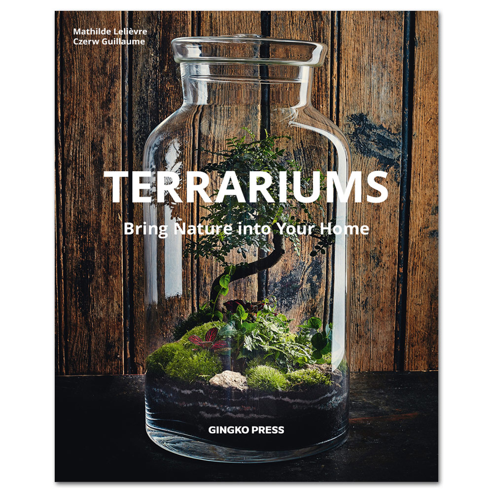 Terrariums: Bring Nature Into Your Home