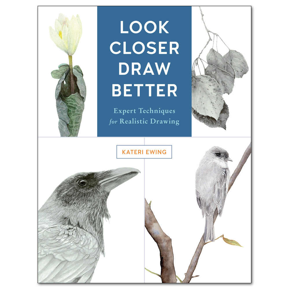 Look Closer, Draw Better: Expert Techniques for Realistic Drawing