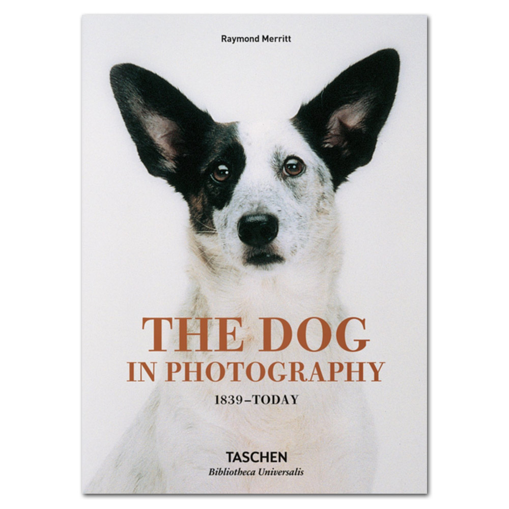 The Dog in Photography 1839-Today
