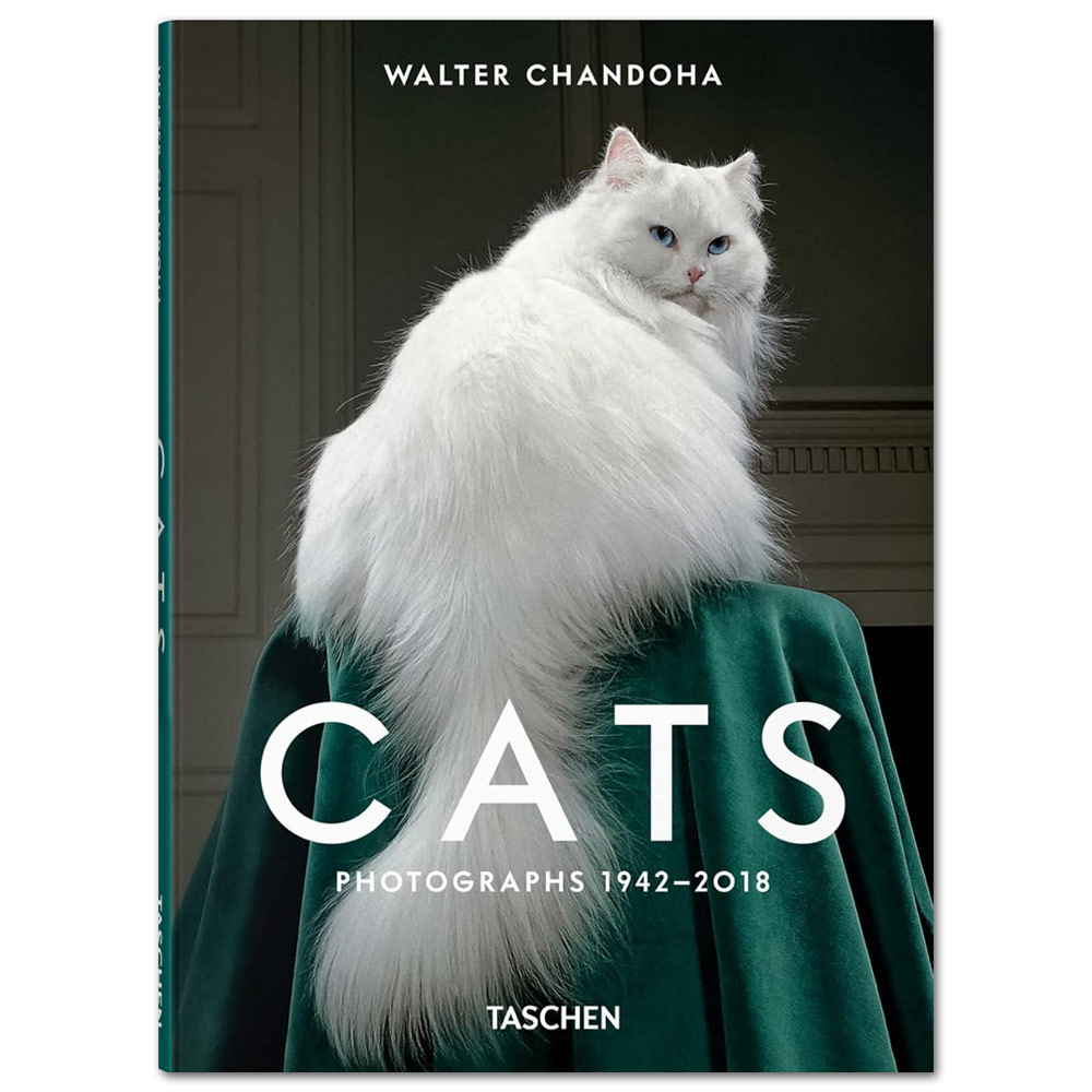 Cats: Photographs 1942-2018