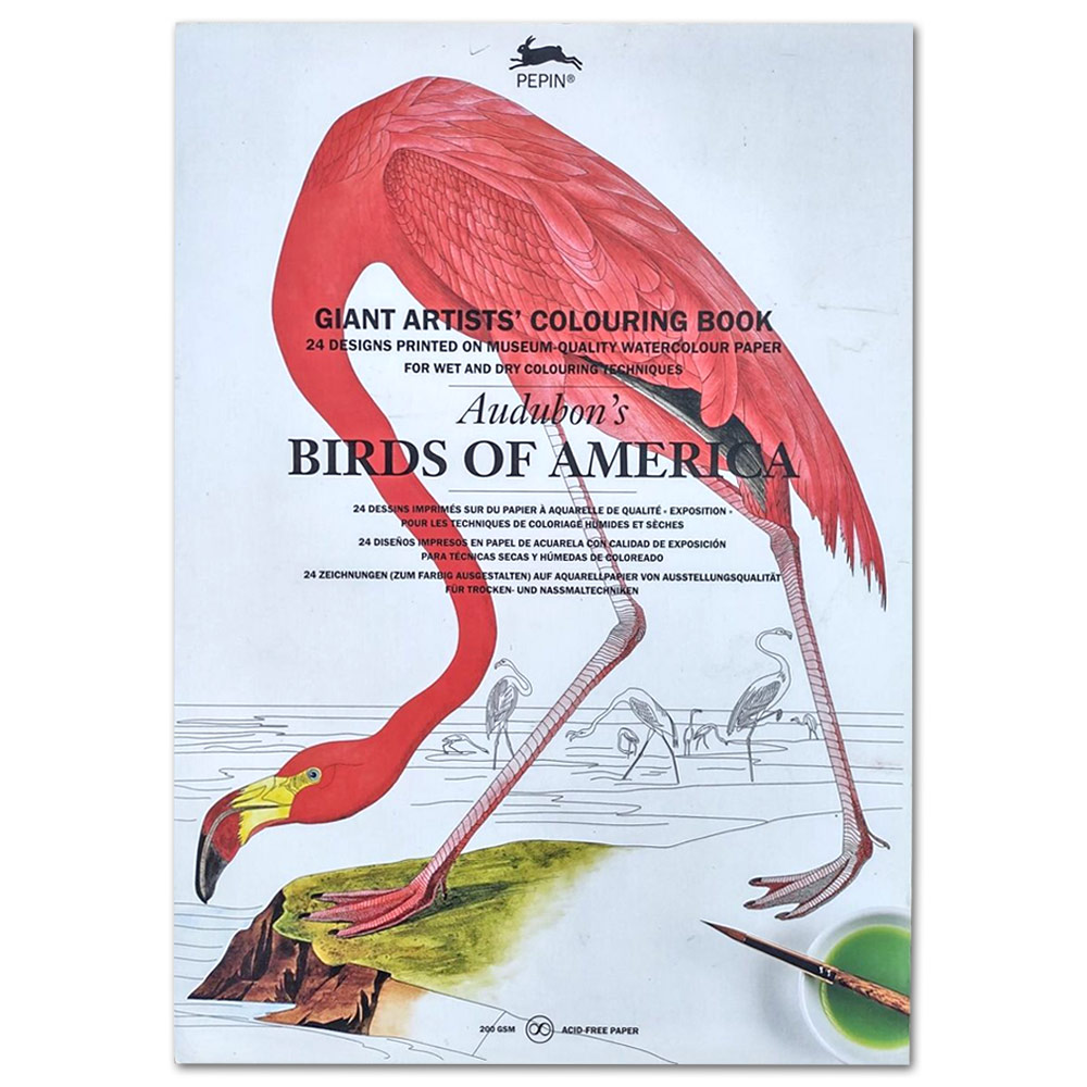 Pepin Press Giant Artists' Coloring Book Audubon's Birds of America