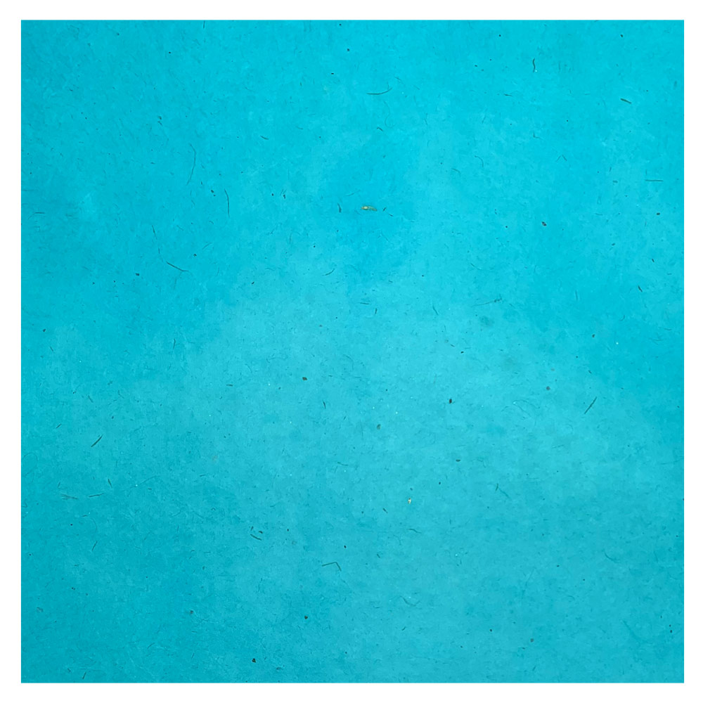 LOKTA DYED TROPICAL WATER