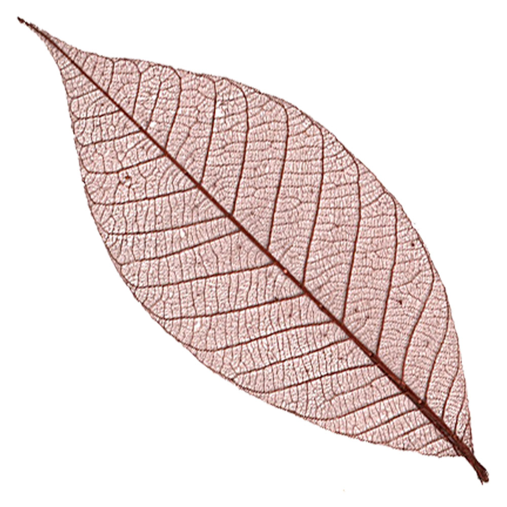 Black Ink Rubber Leaves 10 Pack Plum 3"