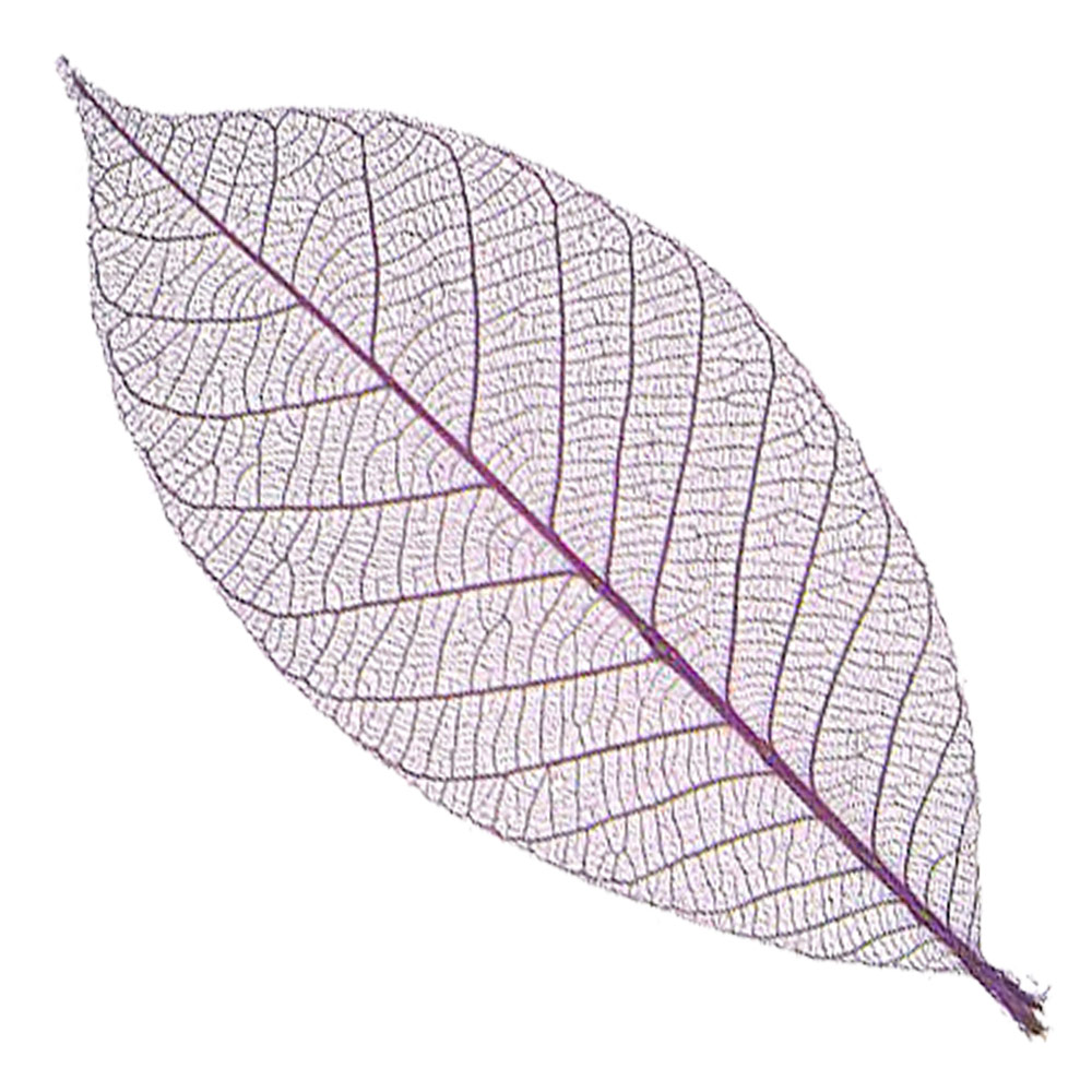Black Ink Rubber Leaves 10 Pack Dark Purple 3"