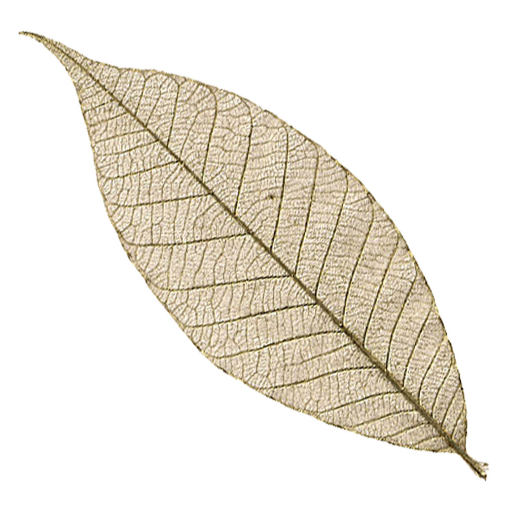 Black Ink Rubber Leaves 10 Pack Gold 5"