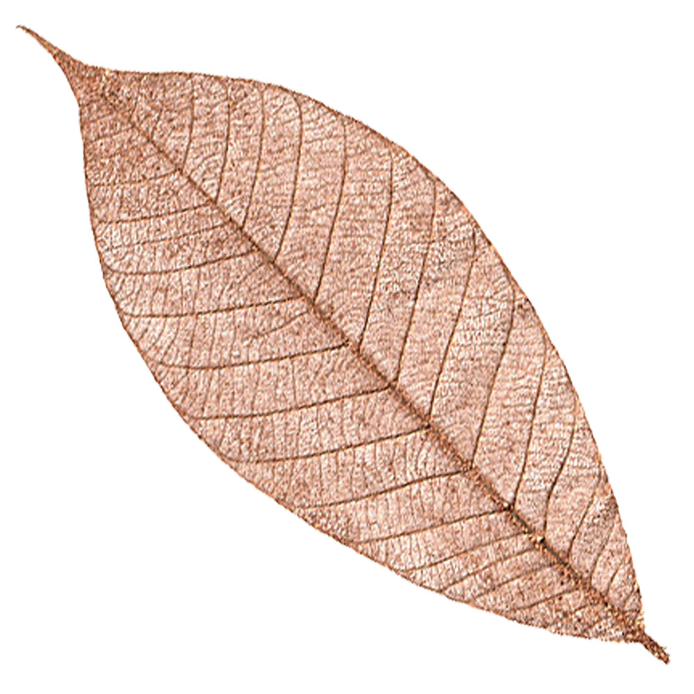 Black Ink Rubber Leaves 5" 10 Pack Copper