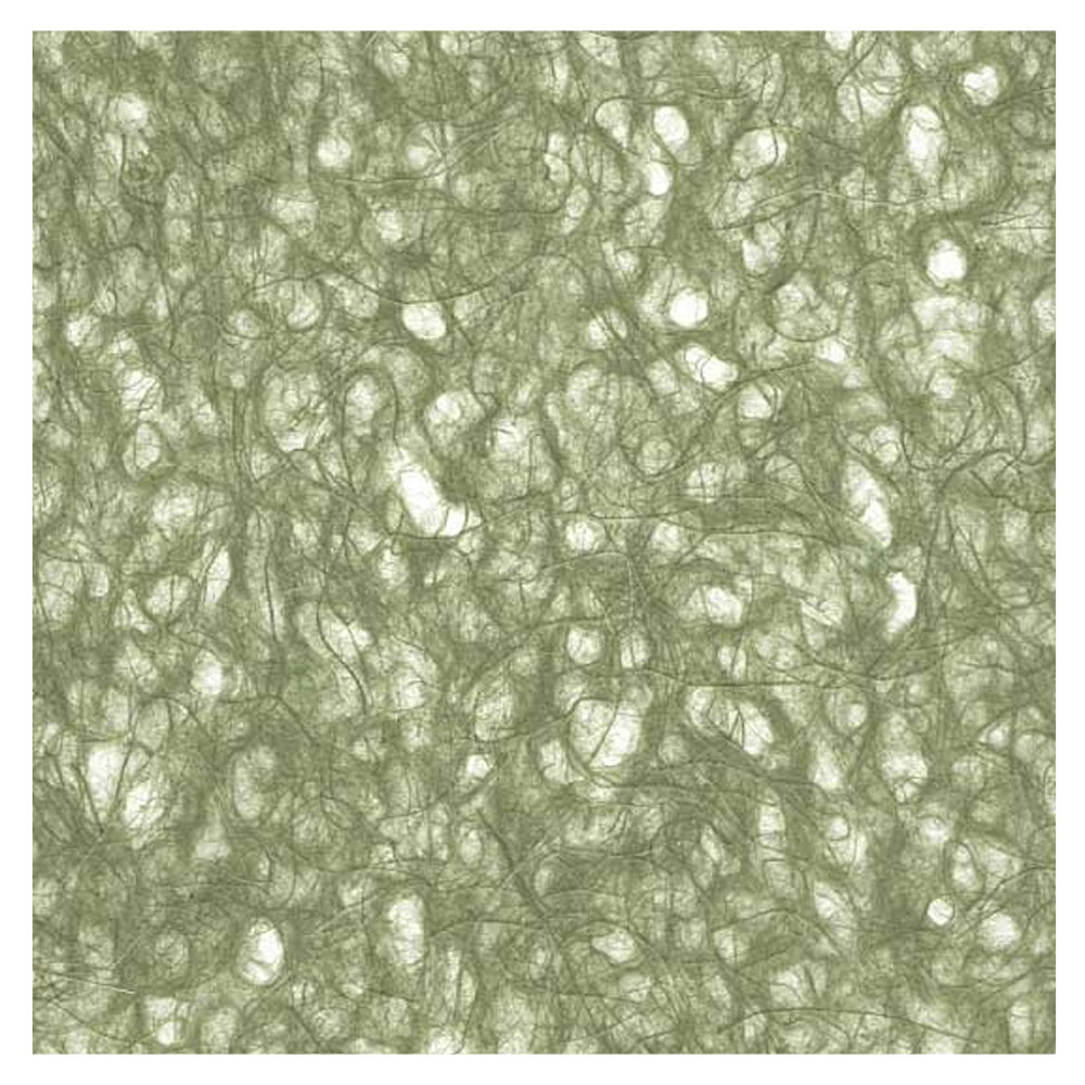 Black Ink Ogura Lace Paper 21"x31" Olive