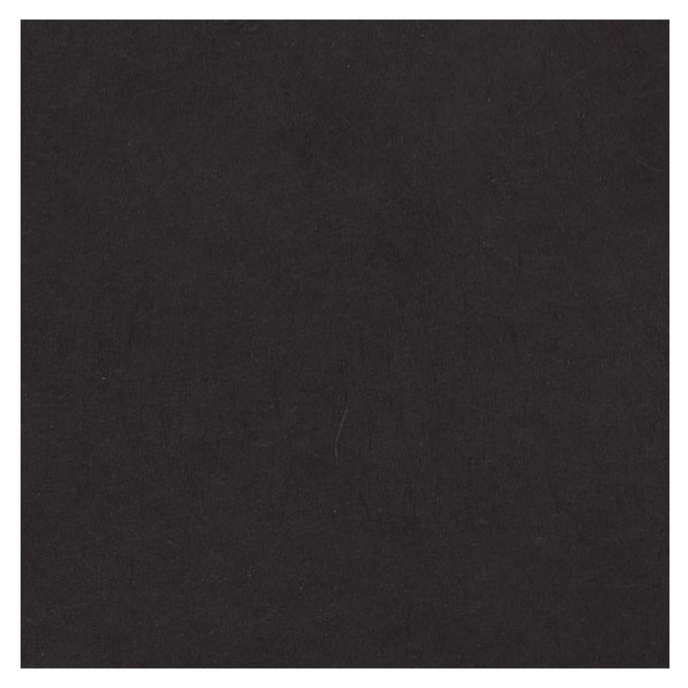 Black Ink Lokta Paper 20"x30" Midnight Black