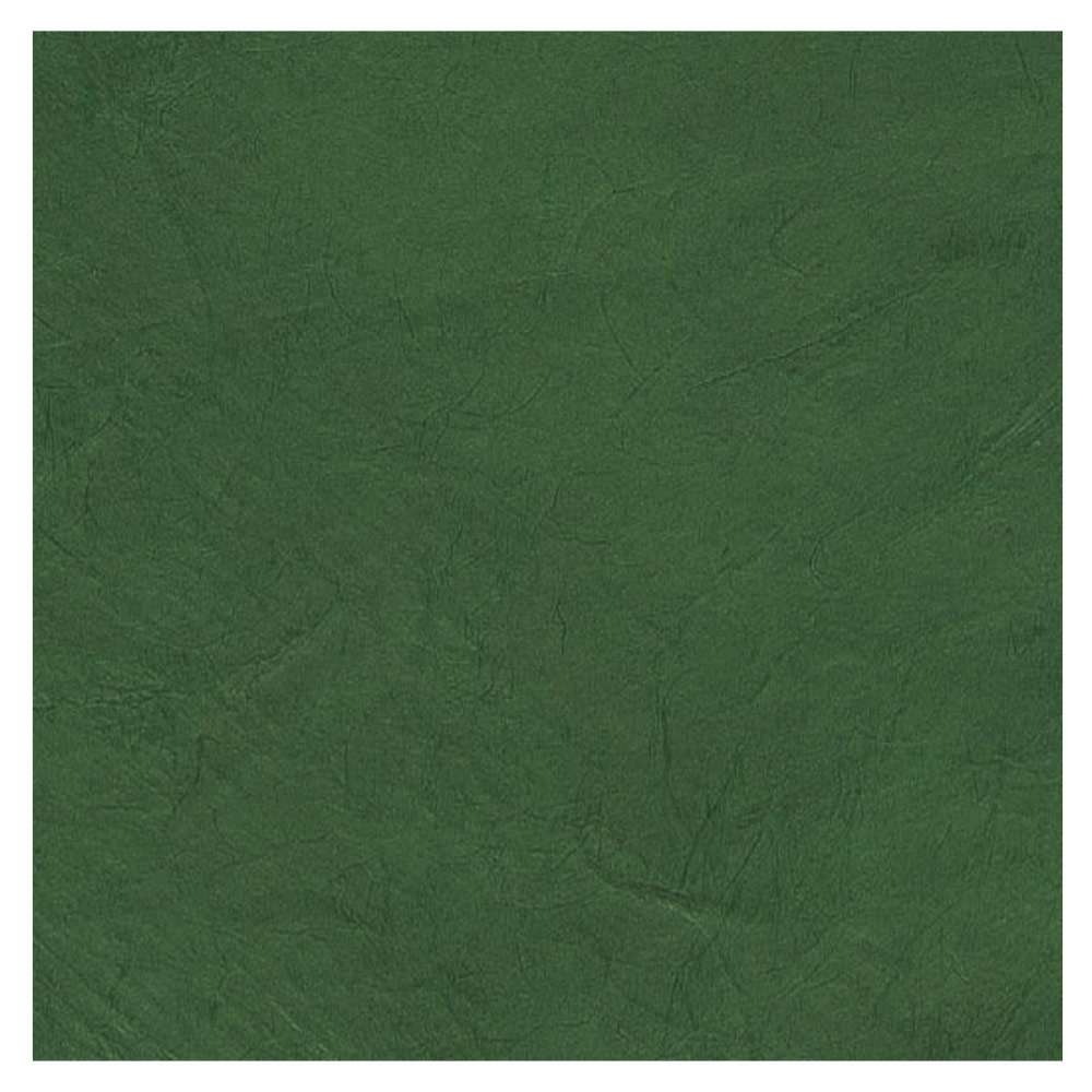Black Ink Lokta Paper 20"x30" Grass Green