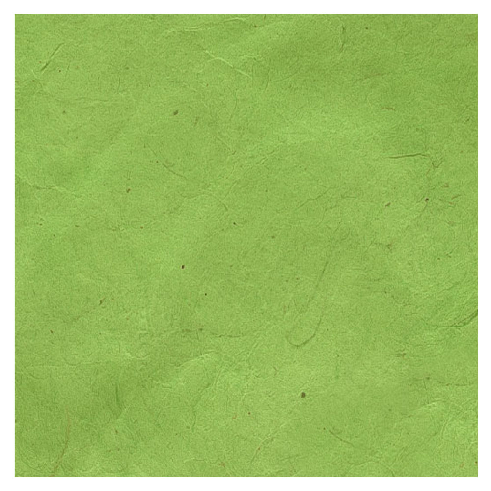 Black Ink Lokta Paper 20"x30" Apple Green