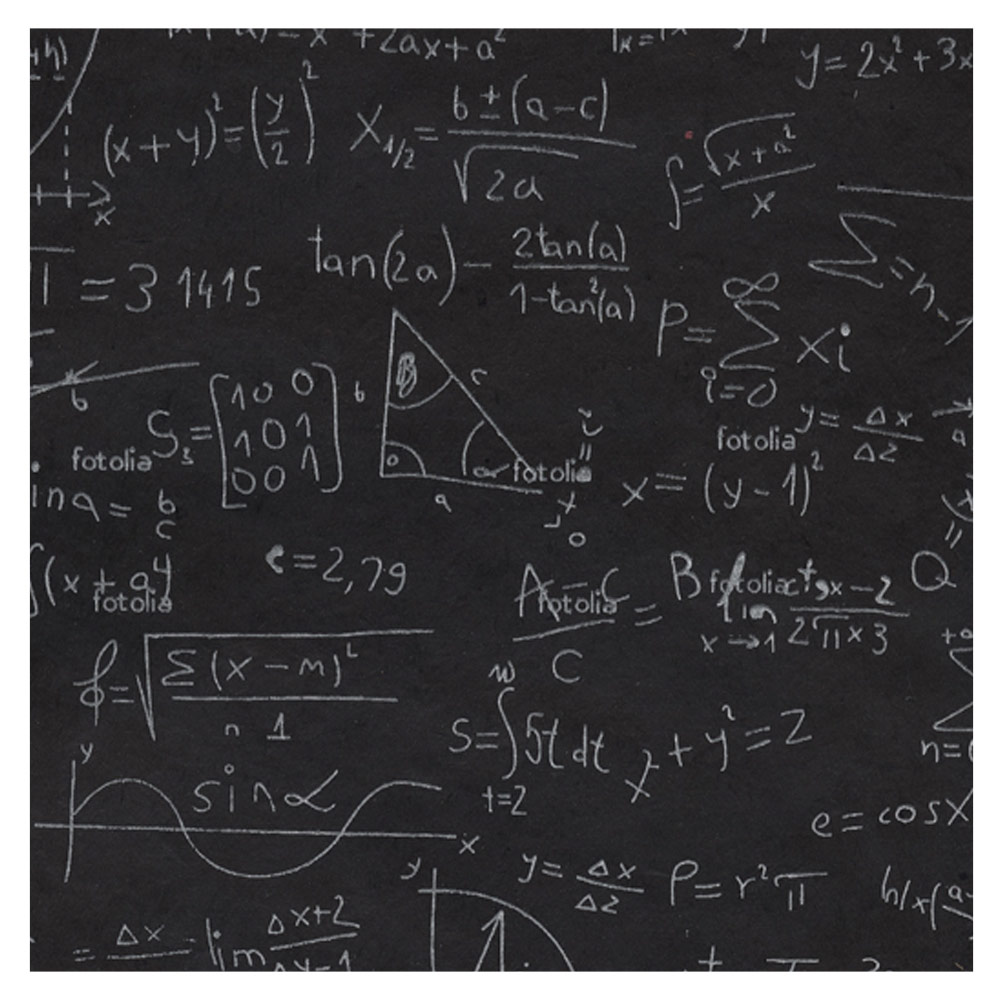 Black Ink Screenprinted Chalkboard Equations Lokta Paper 20"x30" White/Black