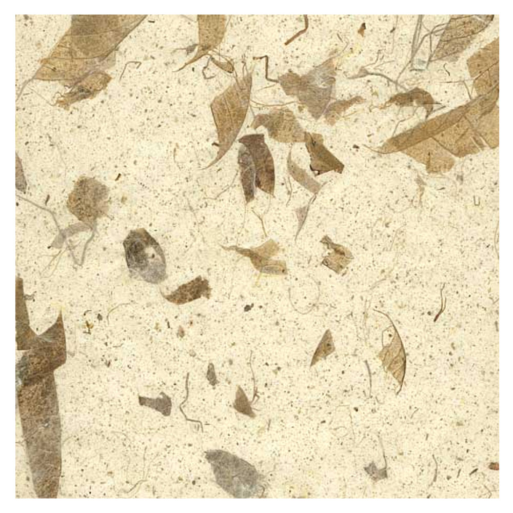 Black Ink Natural Mango Paper 8.5"x11" Natural