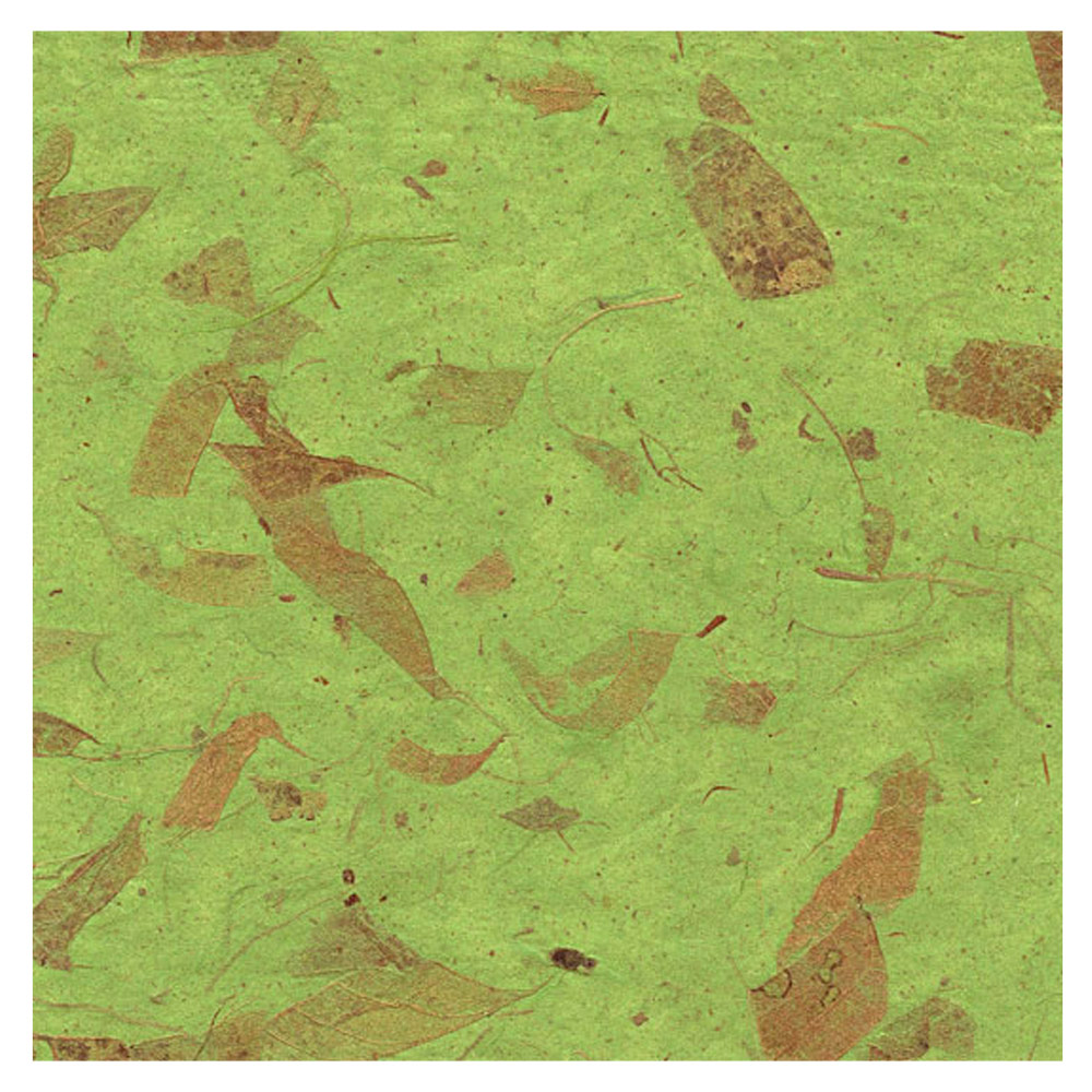 Black Ink Natural Mango Paper 8.5"x11" Spring Green