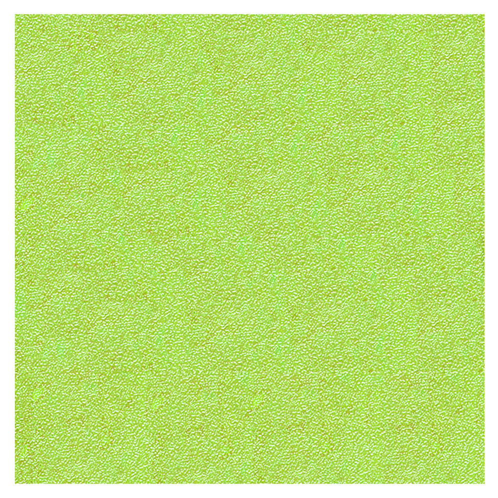 Black Ink Iridescent Paper 19"x27" Lemon Lime
