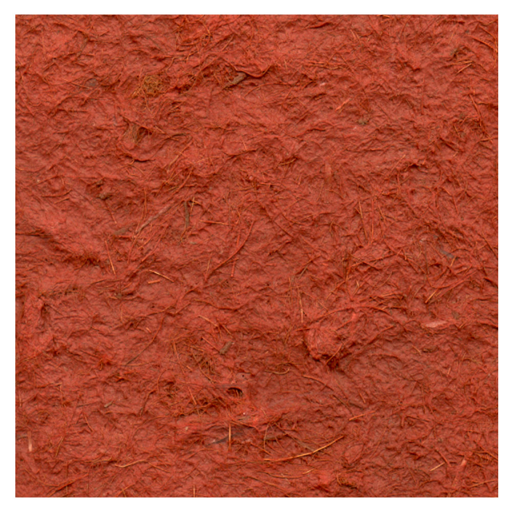 Black Ink Birds Nest Paper 22"x30" Russet Red