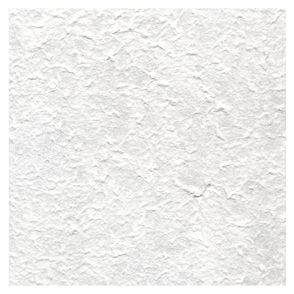 Black Ink Garden Series Rough Mulberry Paper 22"x30" Natural White