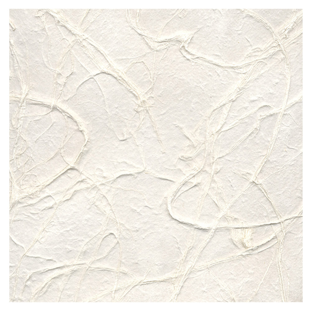 Black Ink Garden Series Chaotic Strings Paper 22"x30" Natural White