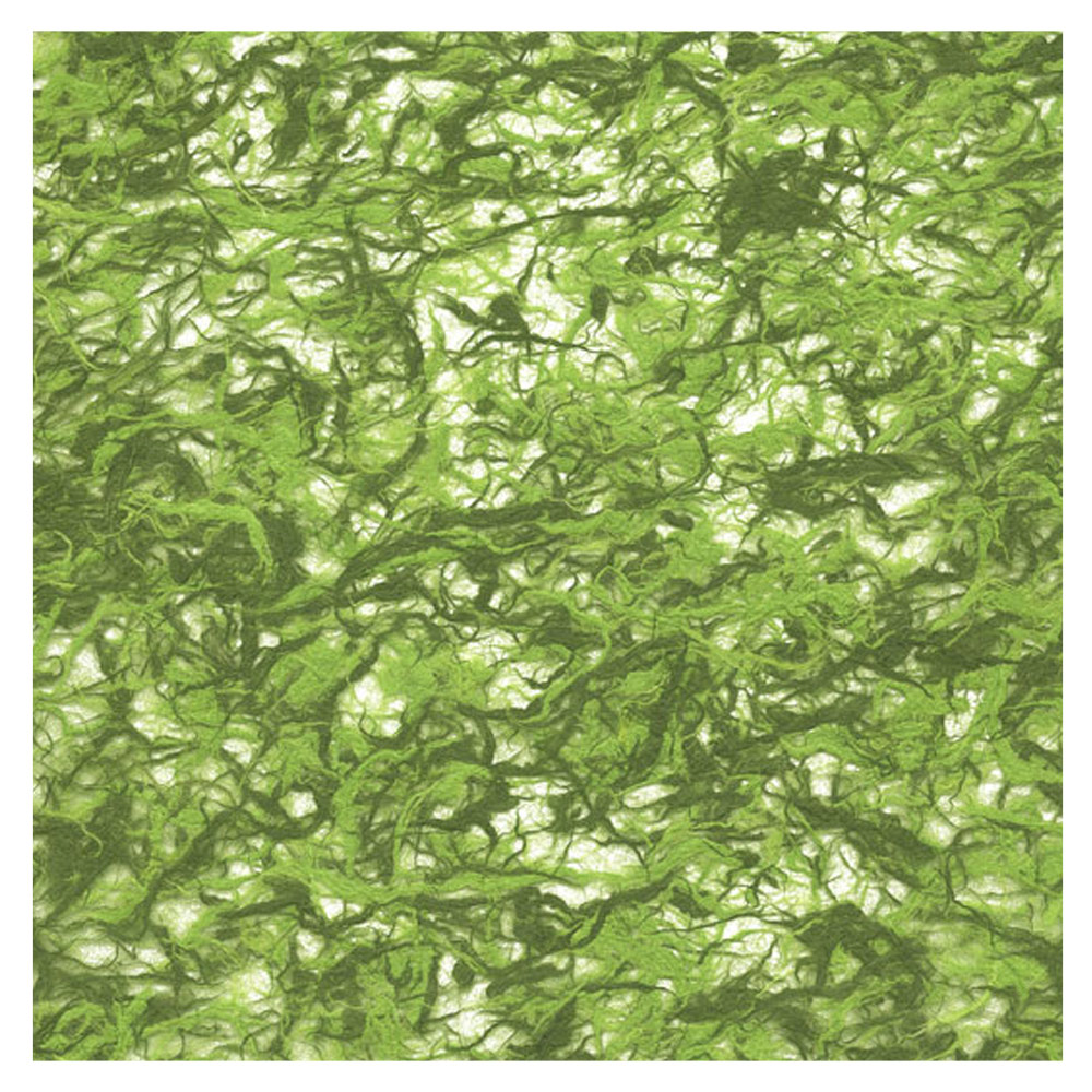 Black Ink Kozo Fiber Paper 25"x37" Lime/Olive