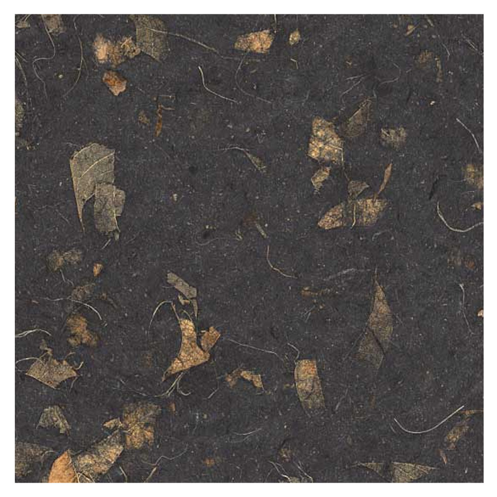 Black Ink Natural Mango Paper 25"x37" Black