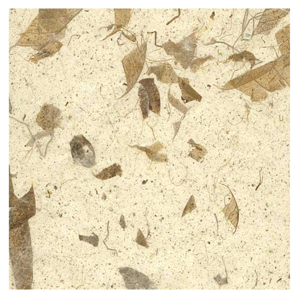 Black Ink Natural Mango Paper 25"x37" Natural