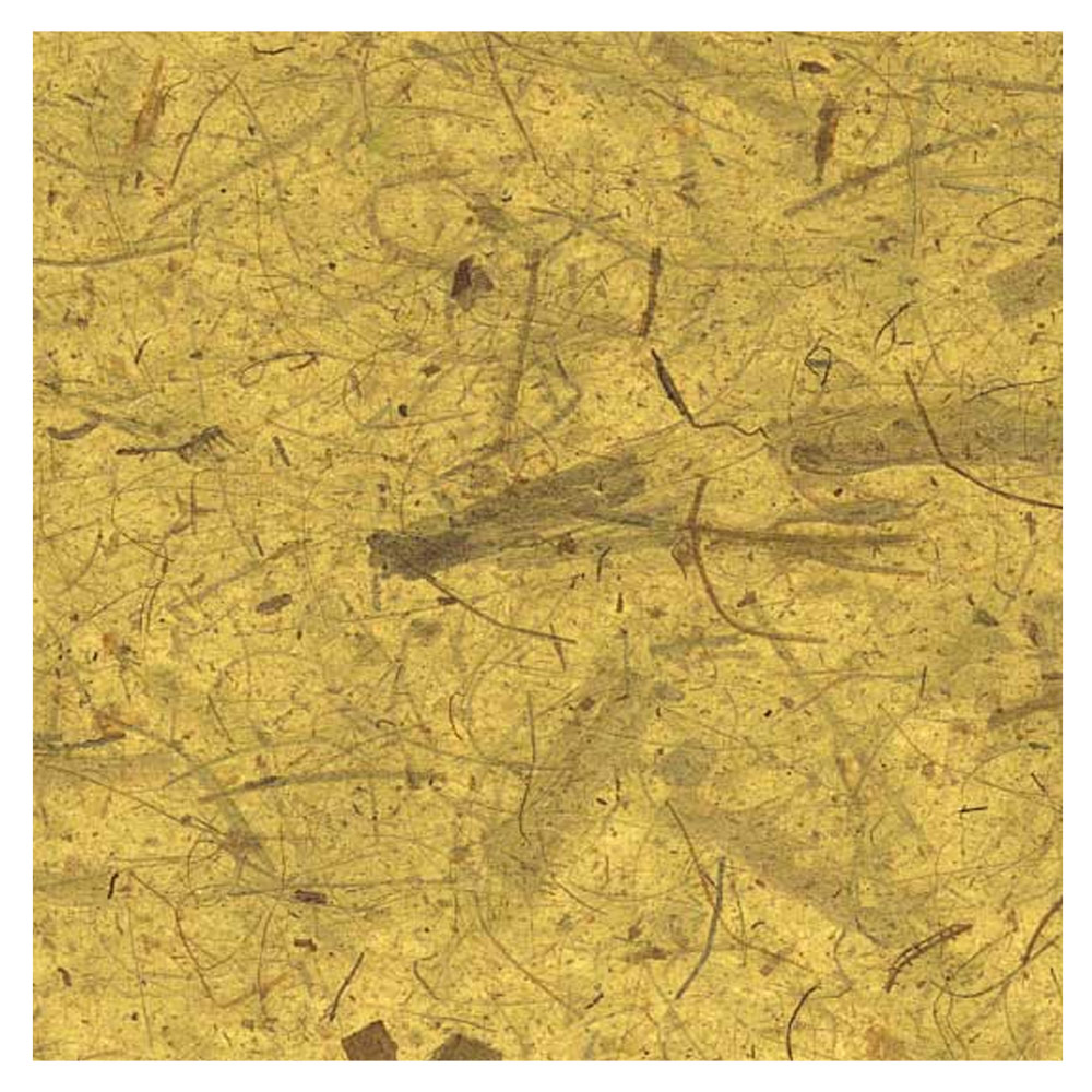 Black Ink Natural Banana Paper 25"x37" Yellow