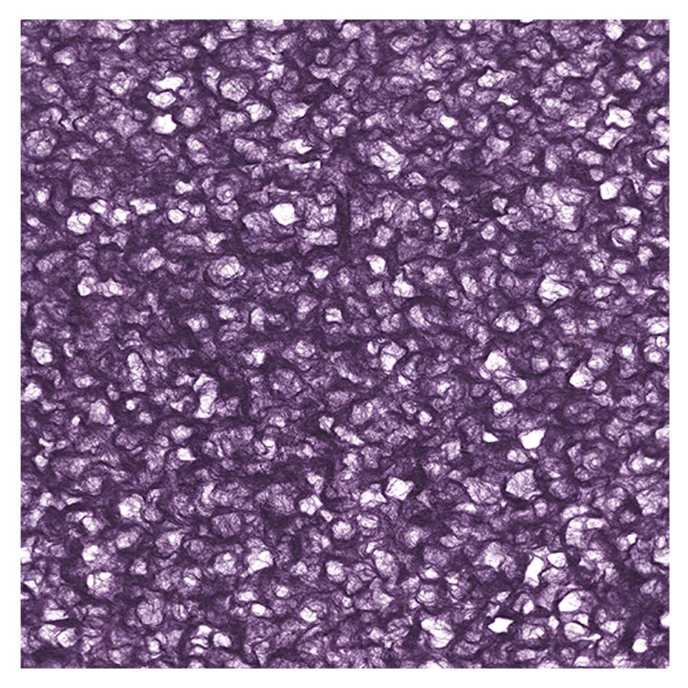 Black Ink Lace Mulberry Paper 25"x37" Purple
