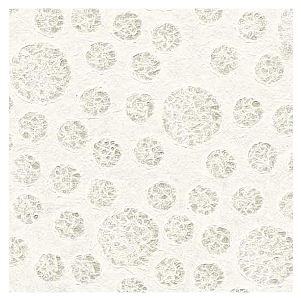 Black Ink Lace Patterned Circles Mulberry Paper 25"x37" White