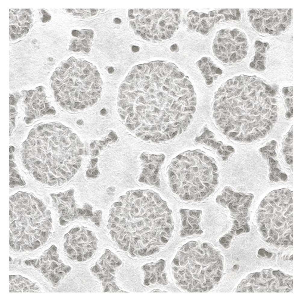 Black Ink Lace Patterned Rings Mulberry Paper 25"x37" White