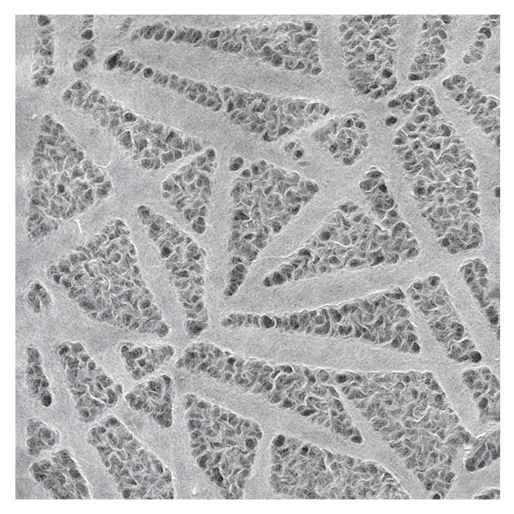 Black Ink Lace Patterned Bamboo Leaves Mulberry Paper 25"x37" White