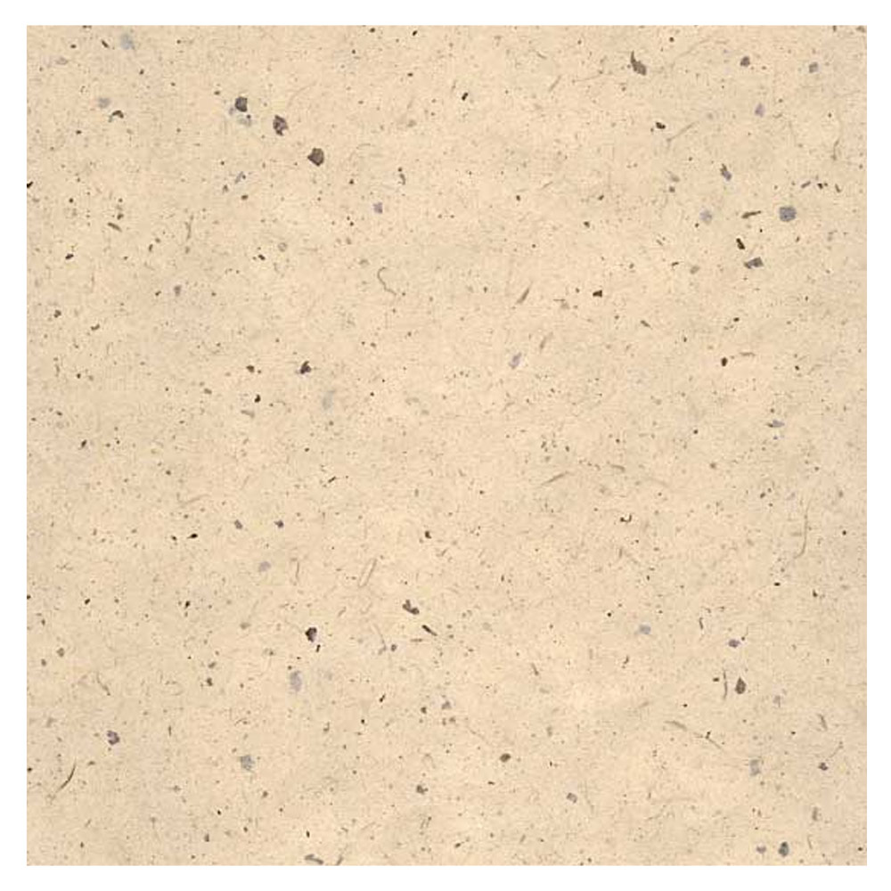 Black Ink Light Chiri Unryu Paper 25"x37" Cream
