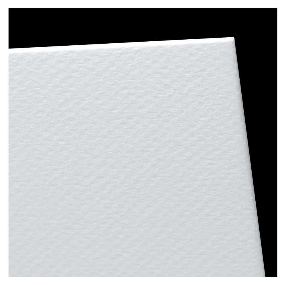 Canson Mi-Teintes Art & Framing Board 16"x20" White