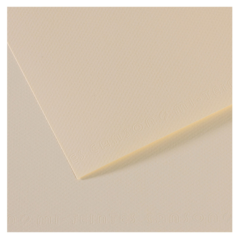 Canson Artist Series Mi-Teintes Pastel Paper 19"x25" Lily 110