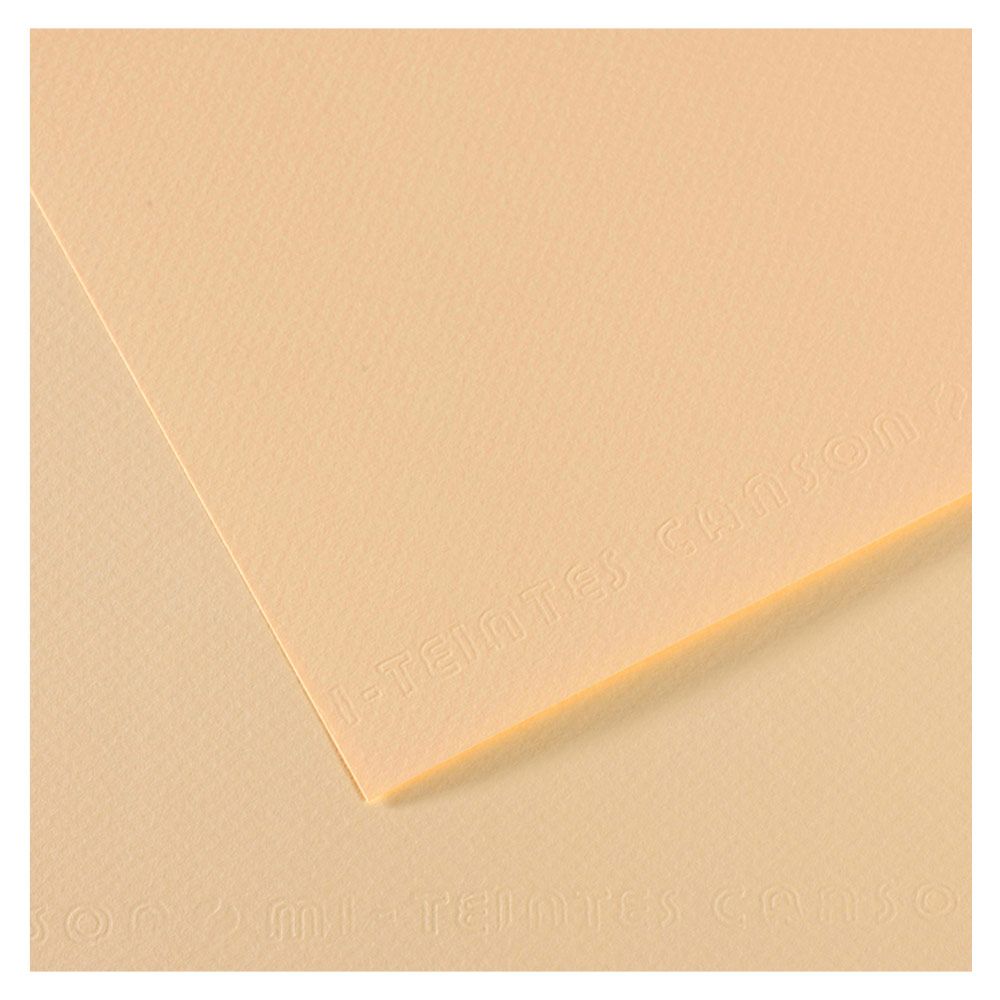 Canson Artist Series Mi-Teintes Pastel Paper 19"x25" Ivory 111