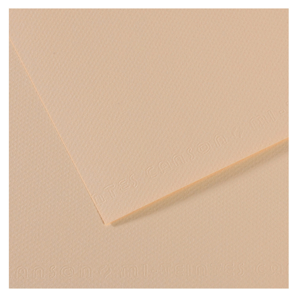 Canson Artist Series Mi-Teintes Pastel Paper 19"x25" Egg Shell 112