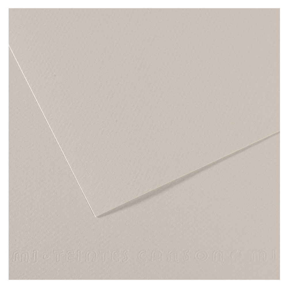 Canson Artist Series Mi-Teintes Pastel Paper 19"x25" Pearl Gray 120