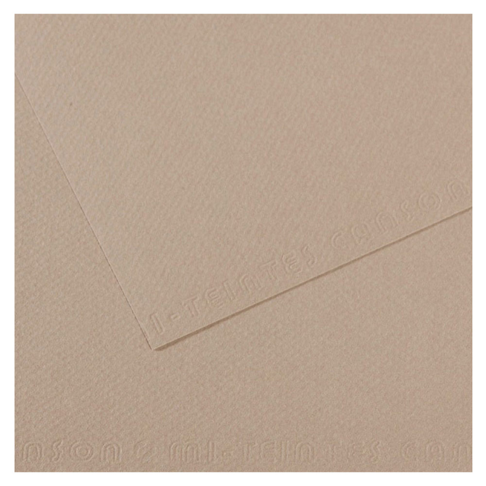 Canson Artist Series Mi-Teintes Pastel Paper 19"x25" Flannel 122