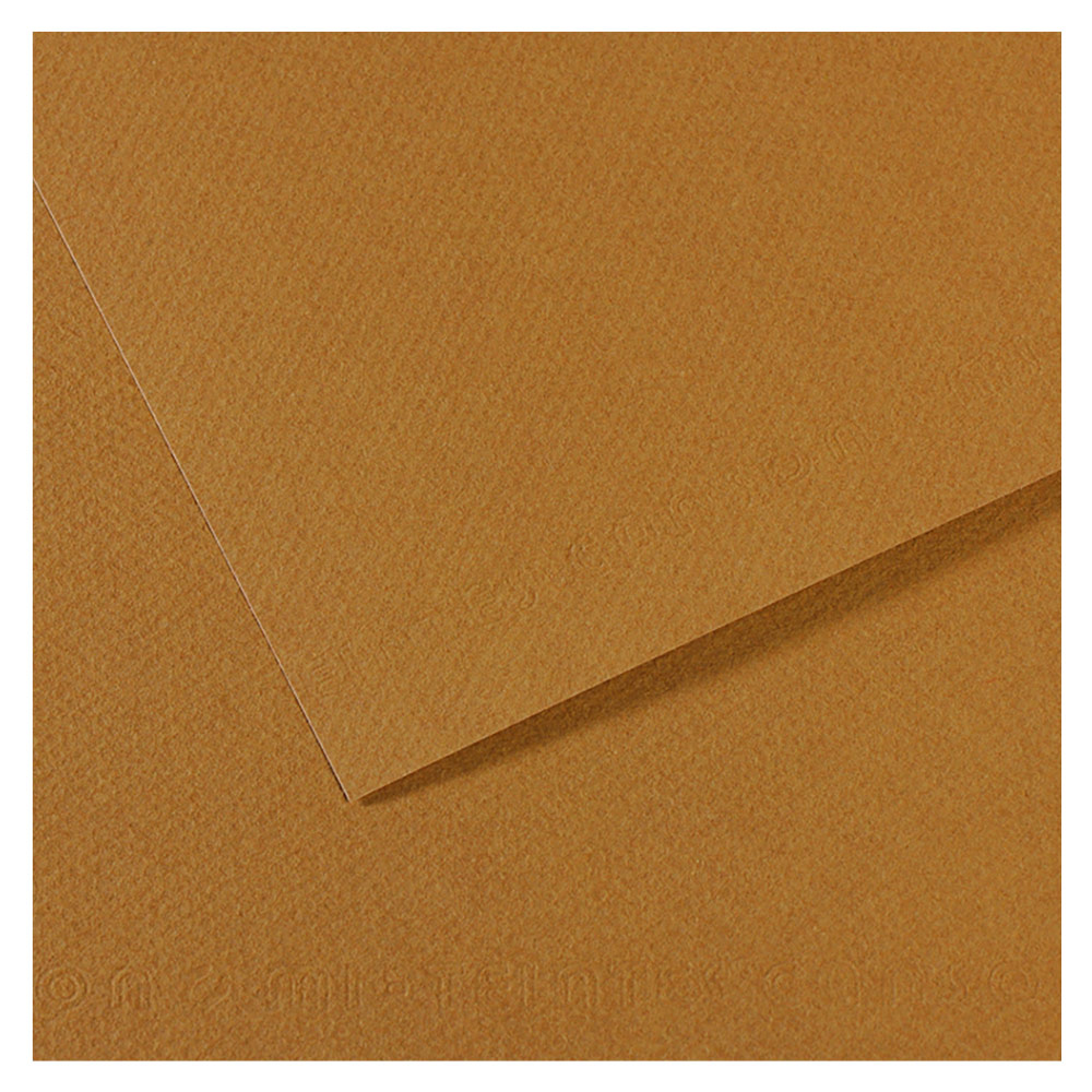 Canson Artist Series Mi-Teintes Pastel Paper 19"x25" Sand 336