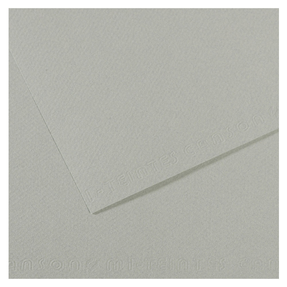 Canson Artist Series Mi-Teintes Pastel Paper 19"x25" Sky Grey 354