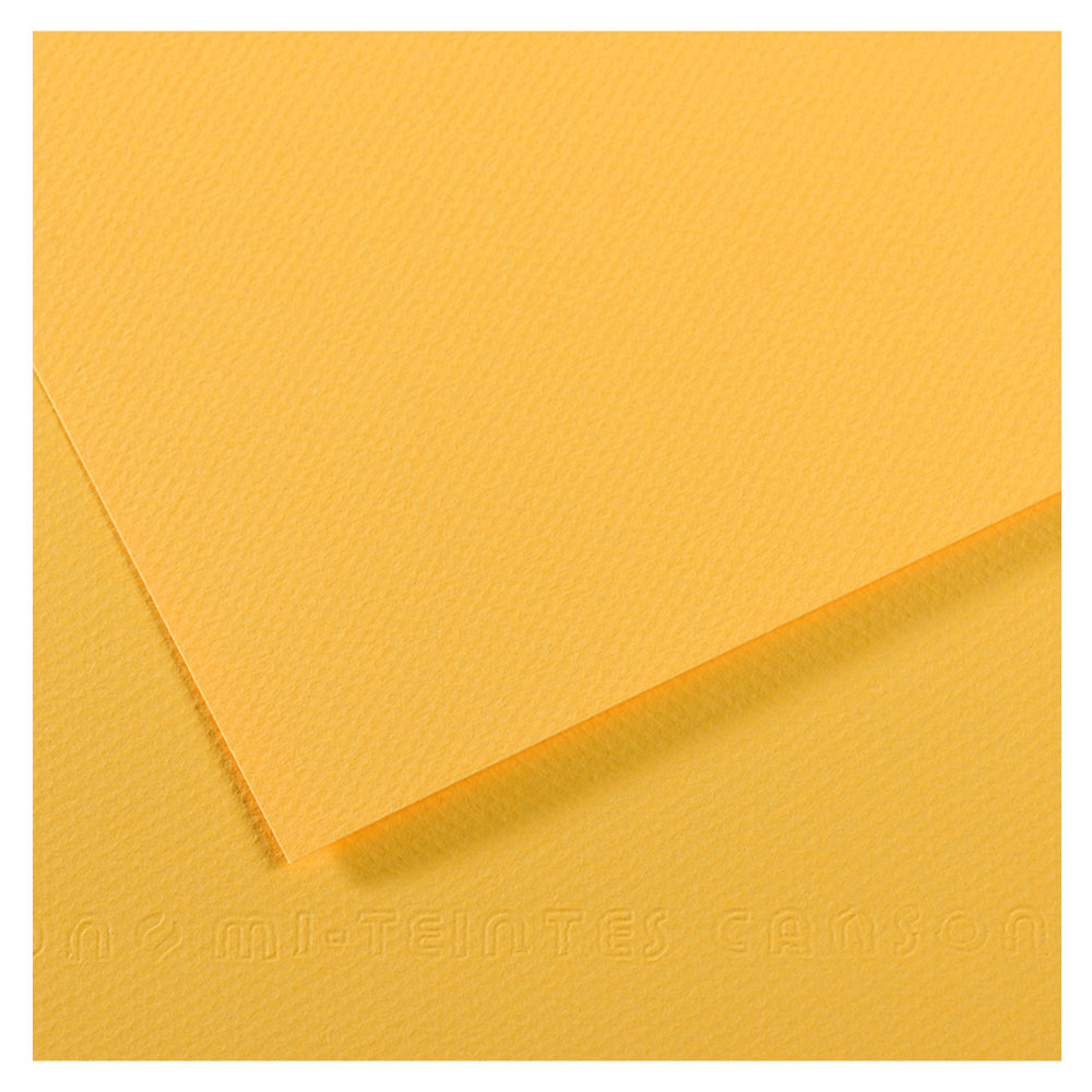 Canson Mi-Teintes Pastel Paper Sheet 113 Parma 19”x25” – Nevada Fine Arts