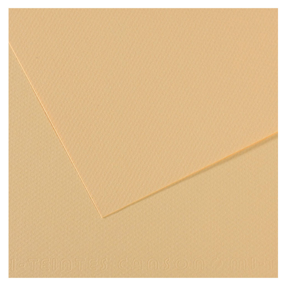 Canson Artist Series Mi-Teintes Pastel Paper 19"x25" Cream 407