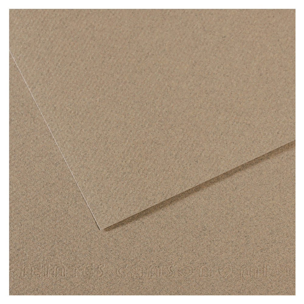 Canson Mi-Teintes Artist Series Pastel Paper 19x25 Felt Grey 429