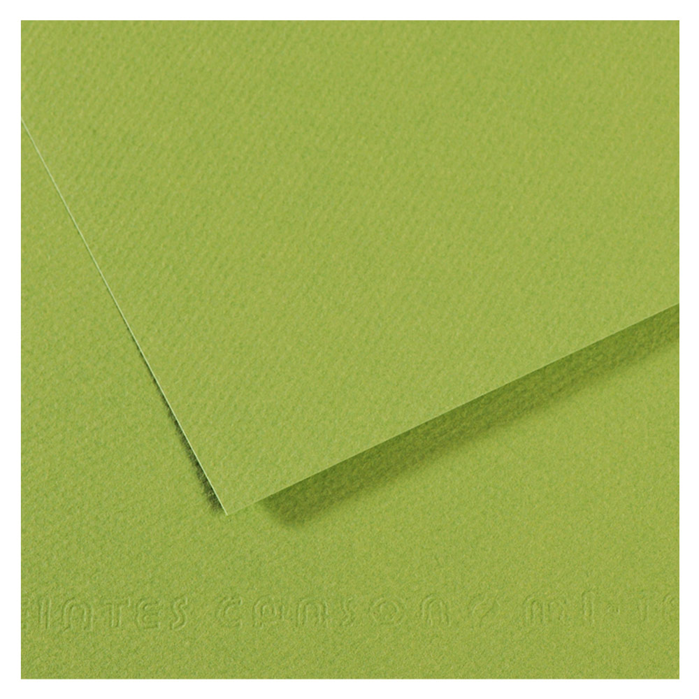 Canson Artist Series Mi-Teintes Pastel Paper 19"x25" Apple Green 475