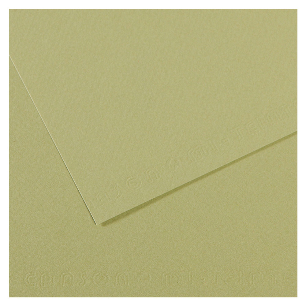 Canson Artist Series Mi-Teintes Pastel Paper 19"x25" Light Green 480
