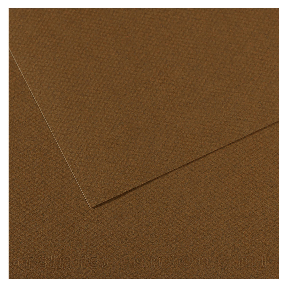 Canson Artist Series Mi-Teintes Pastel Paper 19"x25" Tobacco 501