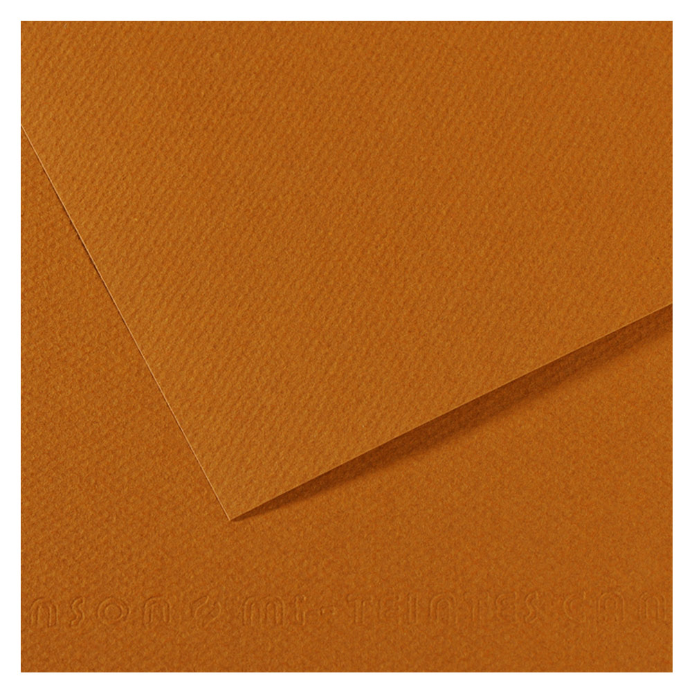 Canson Artist Series Mi-Teintes Pastel Paper 19"x25" Havana Clear 502
