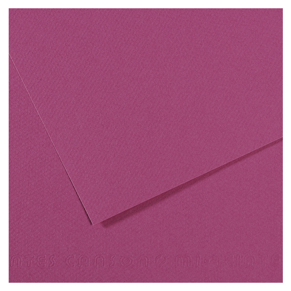 Canson Artist Series Mi-Teintes Pastel Paper 19"x25" Violet 507