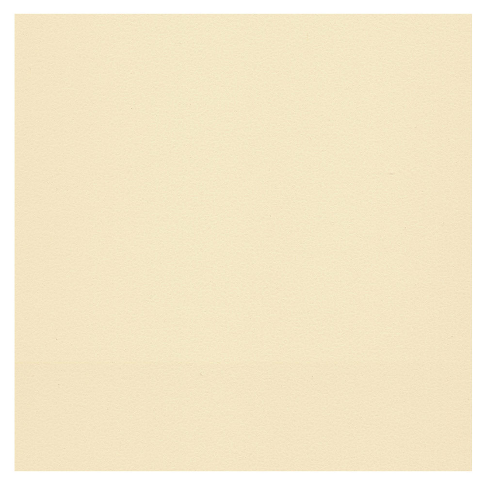 Canson Artist Series Mi-Teintes Touch Pastel Paper Sheet 22"x30" Cream