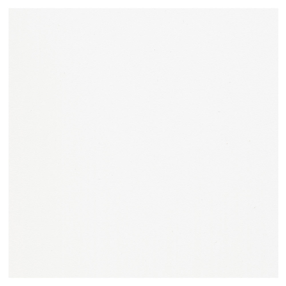 Mi-Teintes Touch Sanded Pastel Paper Sheet 22x30 - White - Art and Frame of  Sarasota