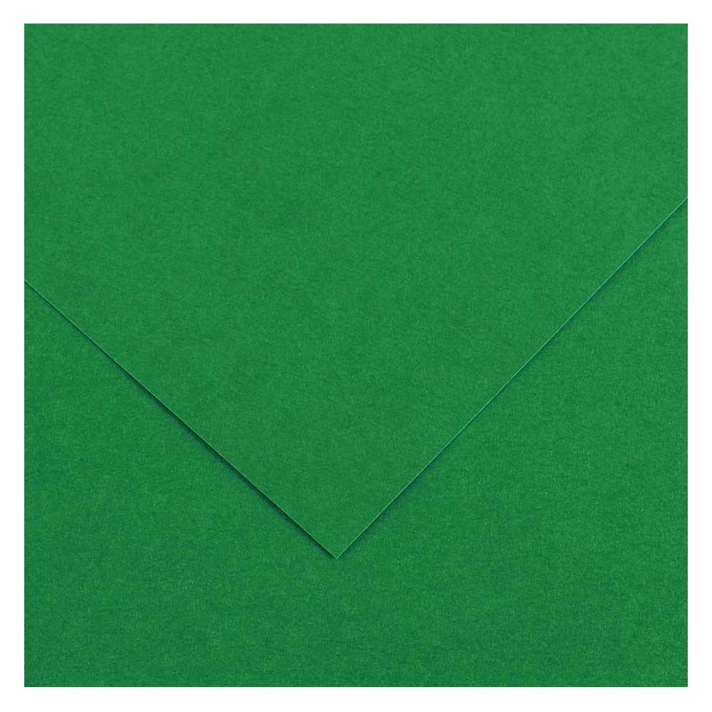 Canson Colorline Colored Paper 300gsm 19.5"x25.5" Moss Green